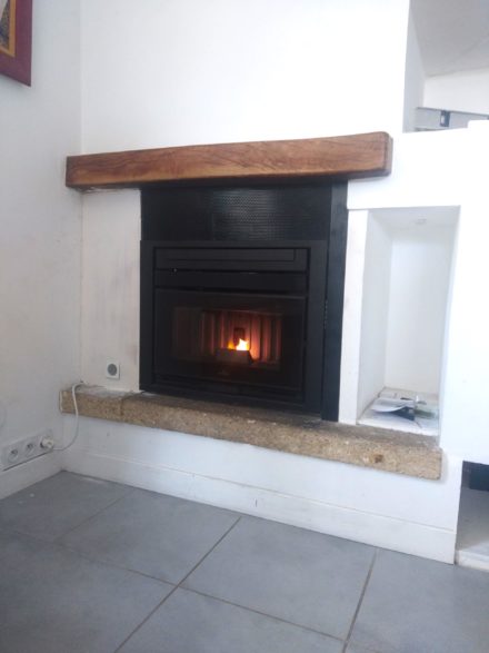 Insert à granulés Edilkamin Pellkamin 8 Evo