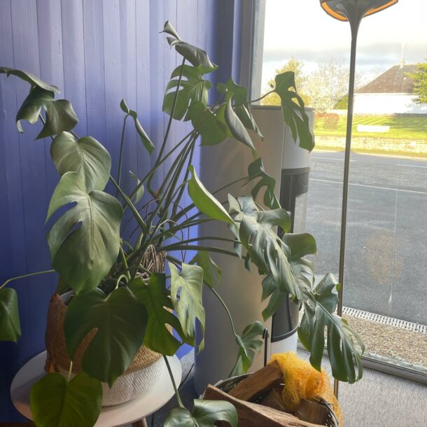 espace Jotul à Moëlan-sur-mer